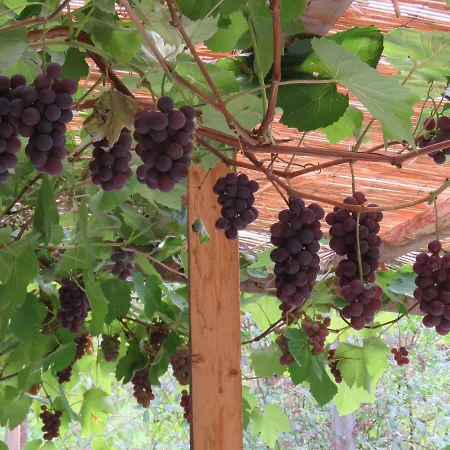 Gasthof Haus Bergblick Hinterstoder