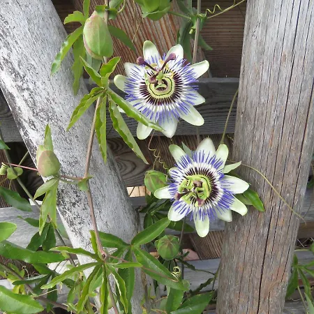 Haus Bergblick Hinterstoder
