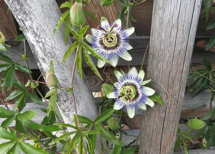 Haus Bergblick Hinterstoder