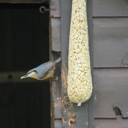 招待所 伯格博里克公寓 茵特斯托德