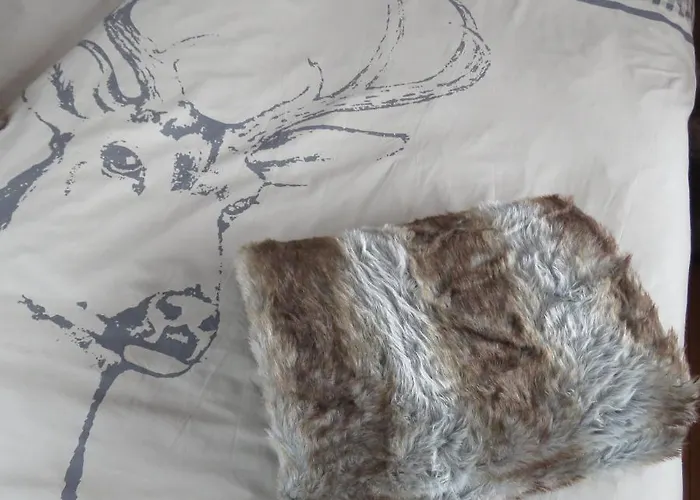 伯格博里克公寓