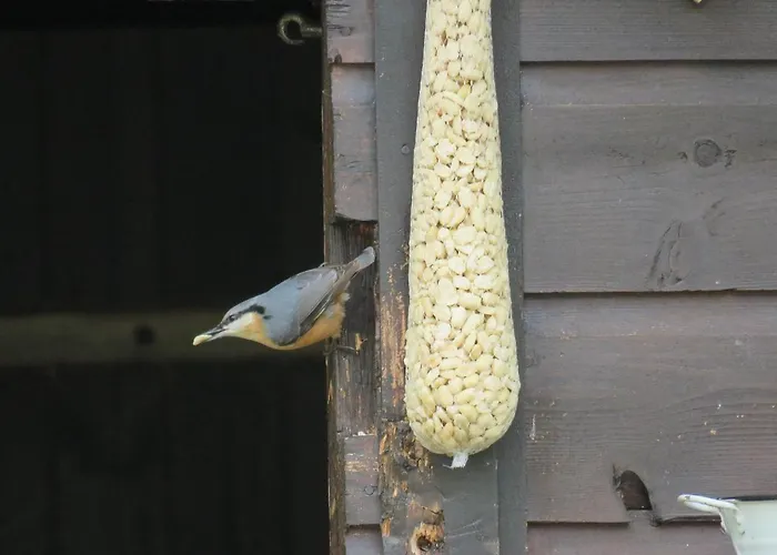 招待所 伯格博里克公寓 茵特斯托德